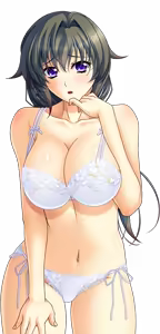 Page 1209 of Shura no Chikandou Character CGs 2/4 - preview thumbnail