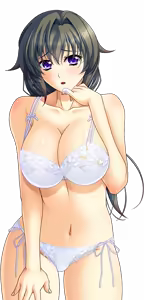 Page 1217 of Shura no Chikandou Character CGs 2/4 - preview thumbnail