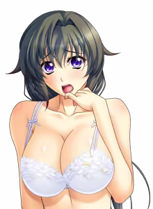 Page 1861 of Shura no Chikandou Character CGs 2/4 - preview thumbnail