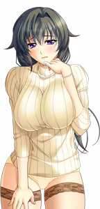 Page 779 of Shura no Chikandou Character CGs 2/4 - preview thumbnail