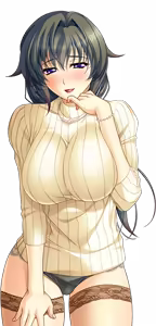 Page 800 of Shura no Chikandou Character CGs 2/4 - preview thumbnail