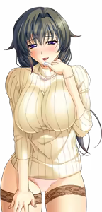 Page 860 of Shura no Chikandou Character CGs 2/4 - preview thumbnail