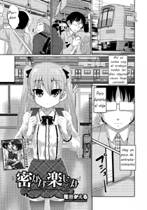 Hisokana Tanoshimi — hentai manga cover on Fhentai