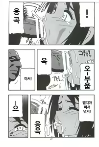 Page 20 of CELVARG1 - preview thumbnail