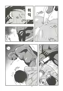 Page 12 of CELVARG2 - preview thumbnail