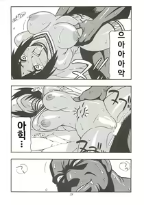 Page 27 of CELVARG2 - preview thumbnail