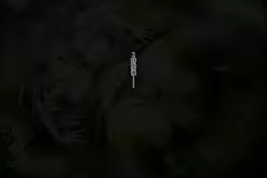 Page 64 of Akuma * Anal * Acme - preview thumbnail