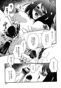 Page 244 of COMIC Himedorobow 2008-04 - preview thumbnail