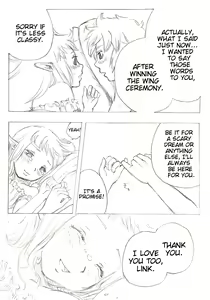Page 11 of Link to Zelda no... | I promise, I will become a knight to protect you - preview thumbnail