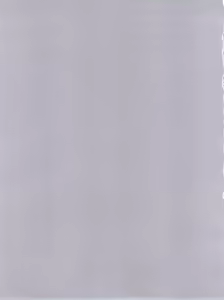 Page 3 of MisaOnly - preview thumbnail