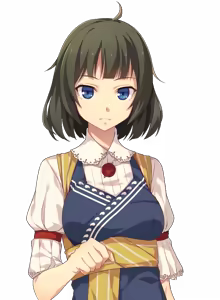 Page 379 of Ryakudatsusha no Inen Character CGs - preview thumbnail