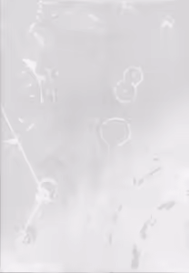 Page 2 of Doitsu Kuubo ni "Ku... Korose!" to Iwasetai - preview thumbnail