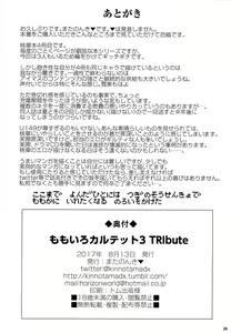 Page 26 of Momoiro Quartet 3 TRIbute - preview thumbnail