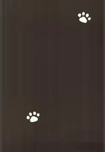 Page 3 of Yayoi to Nyanko na Katachi 2 - preview thumbnail