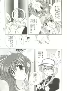 Page 164 of CONSERVATION 2 - preview thumbnail