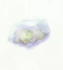 Page 518 of Way - preview thumbnail
