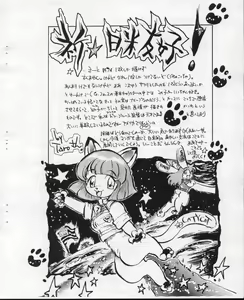 Page 103 of STORM FRONT SPECIAL：SONOKEN CHARACTERS EDITION - preview thumbnail