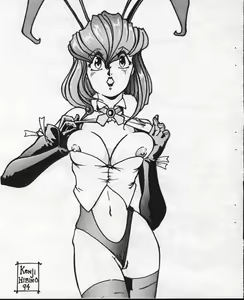Page 42 of STORM FRONT SPECIAL：SONOKEN CHARACTERS EDITION - preview thumbnail