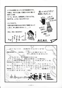 Page 39 of Cammy Shousa Kannou Shashinshuu - preview thumbnail