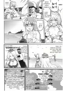 Page 19 of Teitoku no Ketsudan Zettai Kokubouken | 제독의 결단 절대국방권 - preview thumbnail
