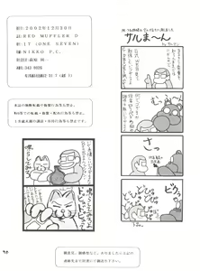 Page 29 of RED MUFFLER D - preview thumbnail
