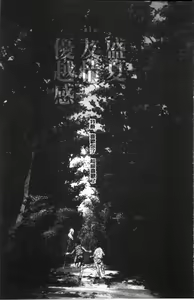 Page 11 of Ever Green - preview thumbnail