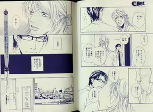 Page 15 of CIEL 2010-11 - preview thumbnail