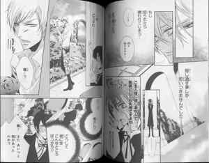 Page 217 of CIEL 2010-11 - preview thumbnail