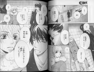 Page 37 of CIEL 2010-11 - preview thumbnail