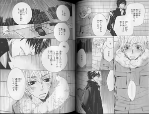 Page 41 of CIEL 2010-11 - preview thumbnail