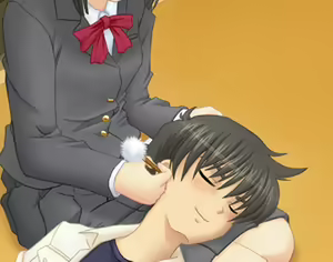Page 340 of Shiromiko - preview thumbnail