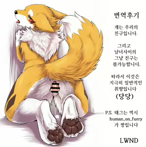 Page 15 of Kitsuneinu to Asobo!! | 여우개 랑 놀자앗!! - preview thumbnail