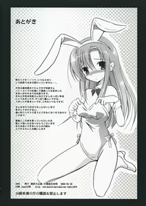 Page 13 of AO03 - preview thumbnail