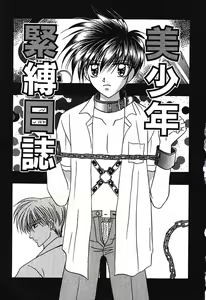 Page 5 of Bishounen Kinbaku Nisshi - preview thumbnail