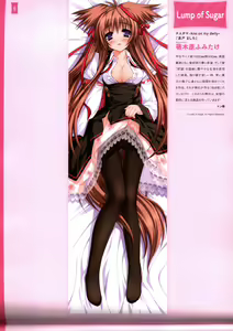 Page 104 of Dakimakura Cover Gashuu Bishoujo Game Hen - preview thumbnail