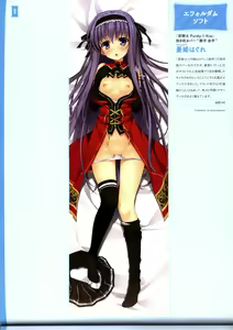 Page 28 of Dakimakura Cover Gashuu Bishoujo Game Hen - preview thumbnail