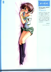 Page 32 of Dakimakura Cover Gashuu Bishoujo Game Hen - preview thumbnail