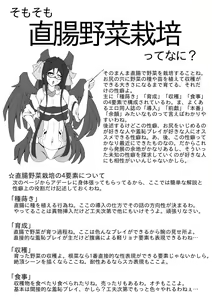 Page 2 of Kyou kara Hajimeru Chokuchou Yasai Saibai - preview thumbnail