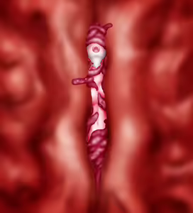 Page 77 of Saint · Woman Tao FILE 2 (Part 2) "Meat of tentacles" - preview thumbnail