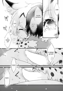 Page 60 of Yuri Ecchihou | 백합 엣찌 지방 - preview thumbnail