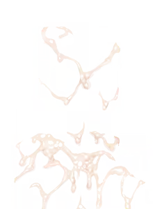 Page 700 of 24 Hour Pervert Penitentiary - Two Years of Penal Climax - preview thumbnail