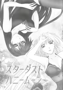 Page 26 of Stardust Honeymoon - preview thumbnail