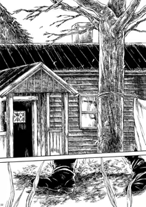 Page 21 of Amaranth - preview thumbnail