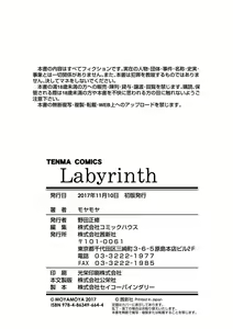 Page 231 of Labyrinth - preview thumbnail