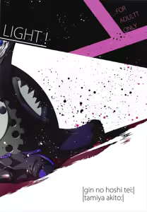 Page 16 of LIGHT... MORE LIGHT! - preview thumbnail