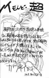 Page 21 of Haber Extra IV Shouji Umemachi Only Book 3 - SoLo - preview thumbnail