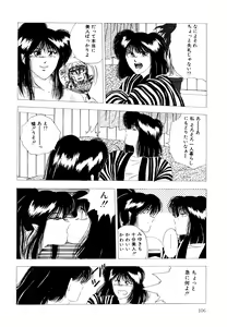 Page 107 of REIRA - preview thumbnail