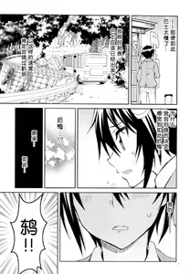 Page 8 of Nisenisekoi 7 - preview thumbnail