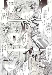 Page 33 of SEED 2 - preview thumbnail