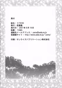 Page 24 of V-TIC 40 - preview thumbnail